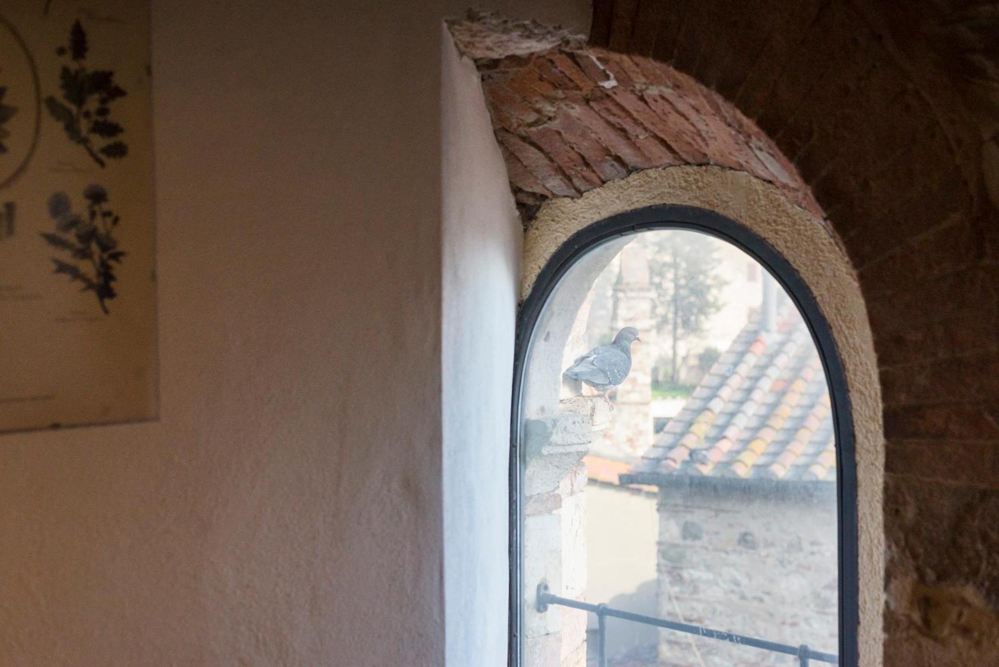 Il Chiostro Appartamenti & Suites Suvereto Exterior foto