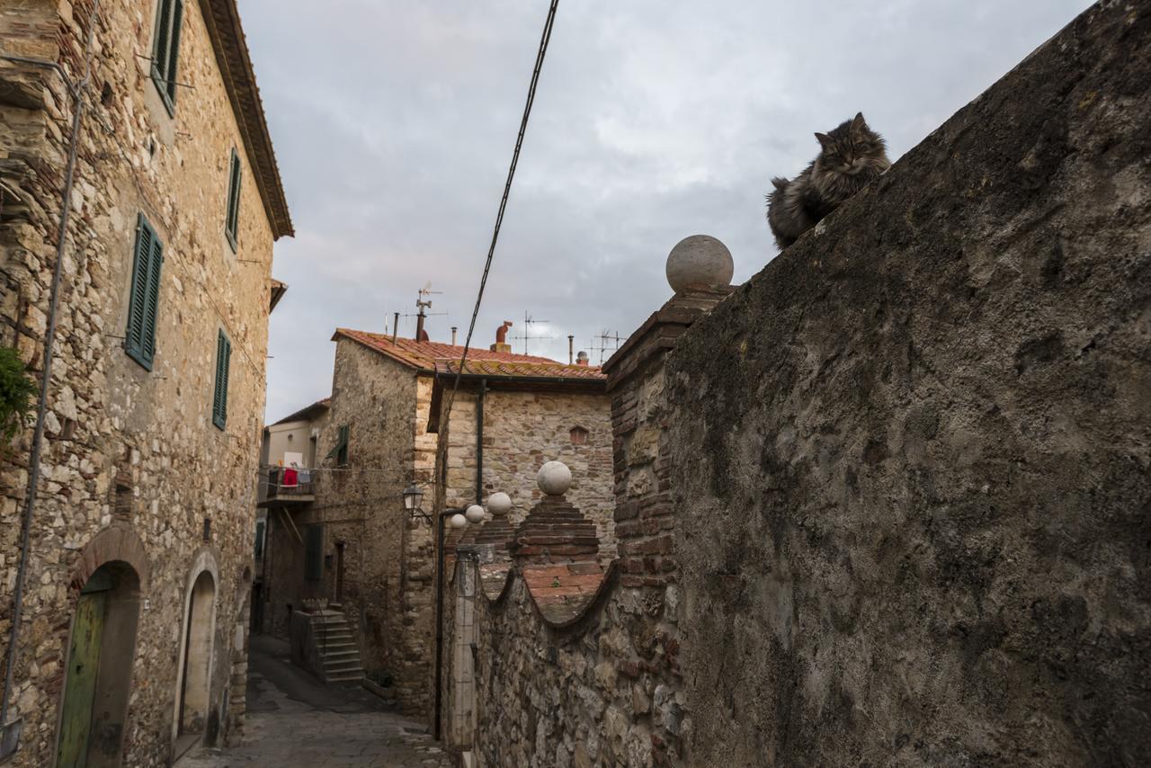 Il Chiostro Appartamenti & Suites Suvereto Exterior foto